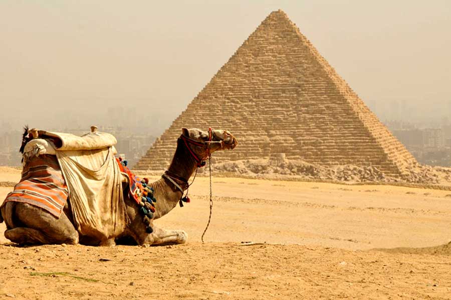 Tours a Egipto recorridos en camello