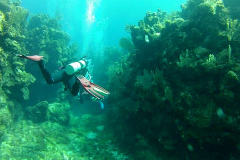 Splash Inn Dive Resort Buceo