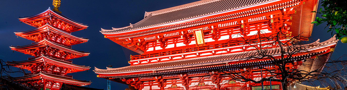TOUR JAPON CON MONTE FUJI & OSAKA